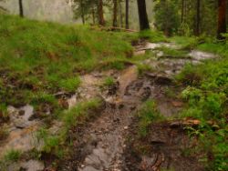 2013-06-01_Regina-F-Rau_Staffelalm_Hochwasser (103).JPG